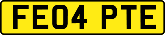 FE04PTE