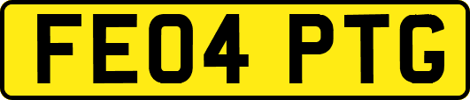FE04PTG