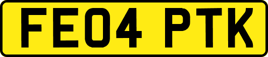 FE04PTK