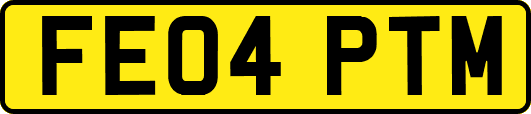 FE04PTM