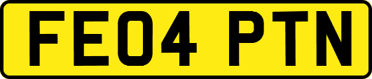 FE04PTN