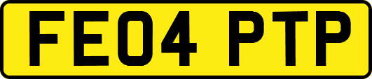 FE04PTP