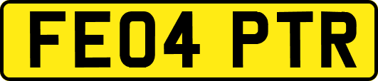 FE04PTR