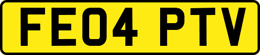 FE04PTV