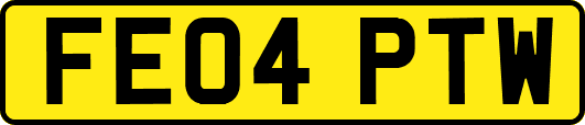 FE04PTW
