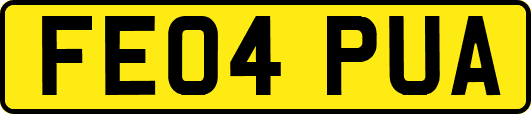 FE04PUA