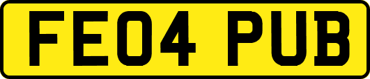 FE04PUB
