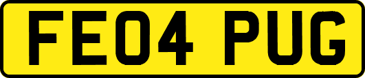 FE04PUG