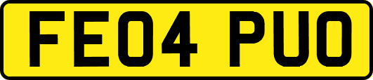 FE04PUO