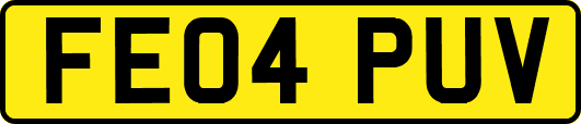 FE04PUV