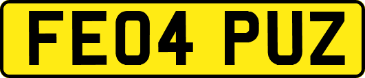 FE04PUZ