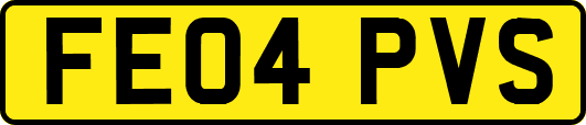 FE04PVS