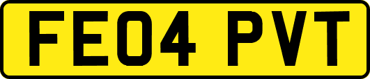 FE04PVT