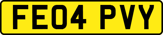 FE04PVY