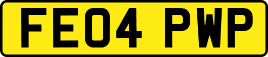 FE04PWP