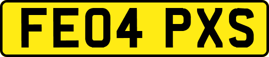 FE04PXS