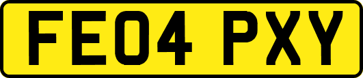 FE04PXY