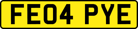 FE04PYE