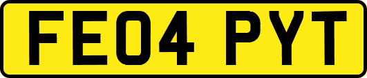 FE04PYT