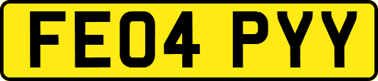 FE04PYY