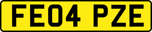 FE04PZE