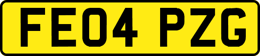 FE04PZG