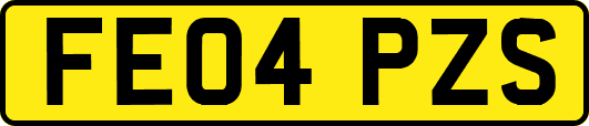 FE04PZS