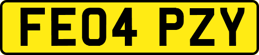 FE04PZY