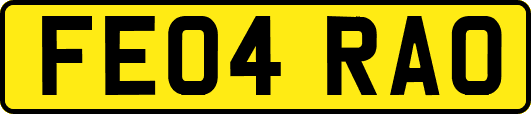 FE04RAO