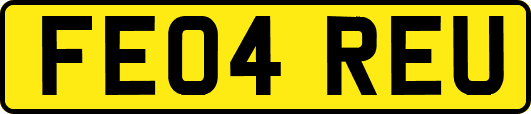 FE04REU