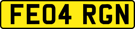 FE04RGN