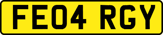 FE04RGY