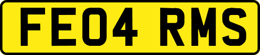 FE04RMS