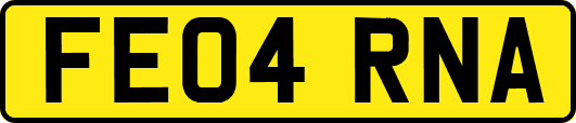 FE04RNA