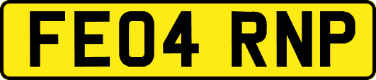 FE04RNP