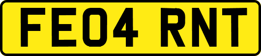 FE04RNT