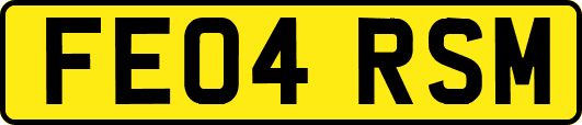 FE04RSM