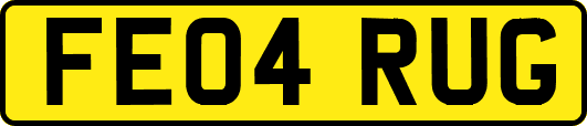 FE04RUG