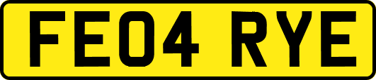 FE04RYE