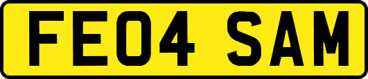 FE04SAM