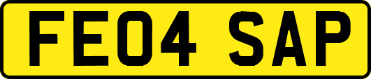 FE04SAP