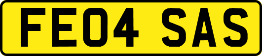 FE04SAS