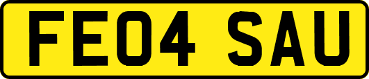 FE04SAU