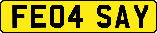 FE04SAY