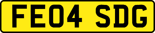 FE04SDG