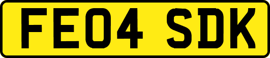 FE04SDK