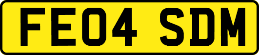 FE04SDM