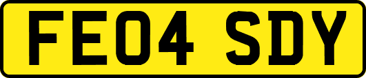 FE04SDY