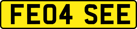 FE04SEE