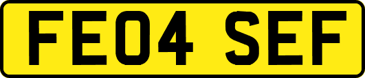 FE04SEF